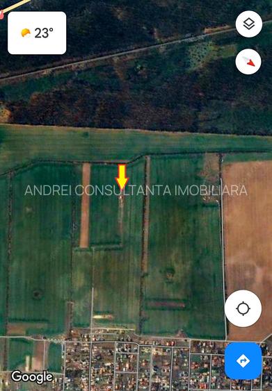 Vanzare 1000, 2000 sau 3000 mp teren intravilan in Buftea langa padure - 7