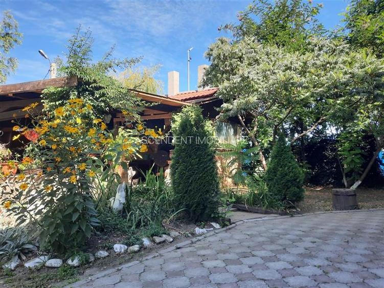 3D! La DN, Spatiu restaurant/ comercial/ activitati divertisment/ Halchiu, Braso - 30