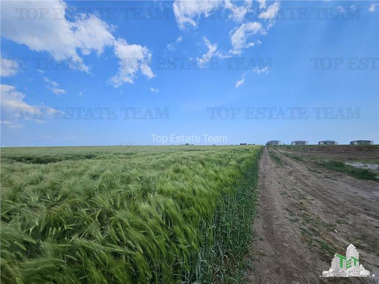TEREN INTRAVILAN 50000 MP AGIGEA ZONA RO RO - 8