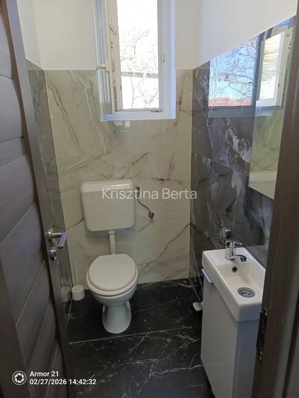 Casa individuala noua de inchiriat in Cetariu, disponibila imediat - 8