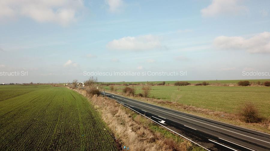 TERENURI INDUSTRIALE/COMERCIALE BECICHERECU MIC - TIMISOARA - 3