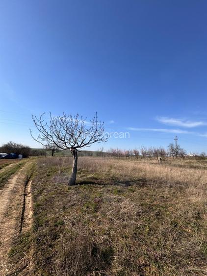 Teren intravilan panoramic 6700 mp – ideal vilă premium – aproape de Oradea - 4
