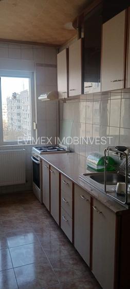 Salajan  - Statuie inchiriere ap. 2 camere - 9