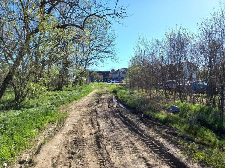 Teren intravilan 2927 mp - com. Domnesti sat Teghes - 6