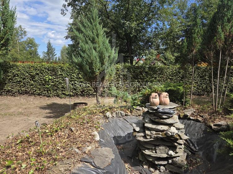 Teren deosebit cu cabană din lemn, Tocile – locație liniștită - 7