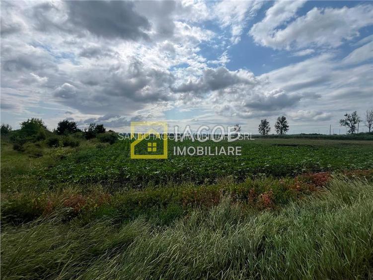 Teren intravilan, 8333 mp, la E85, comuna Secuienii Noi, jud. Neamt - 6