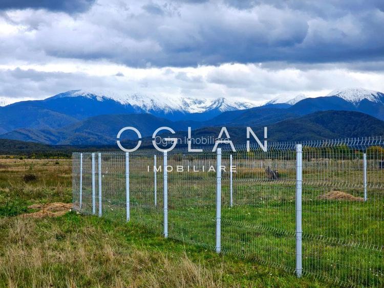 SUPER PRET! Teren 2400 mp Valea Avrigului SIBIU - 4