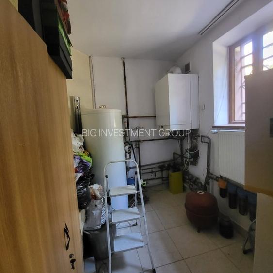 Vila boiereasca, superba, strada, linistita, nelipita de vreun alt imobil - 38