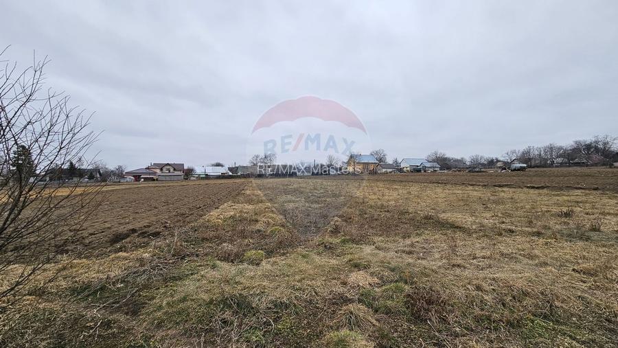 Casă / Vilă cu 12 camere, teren intravilan de 2869mp în Siminicea, SV - 10