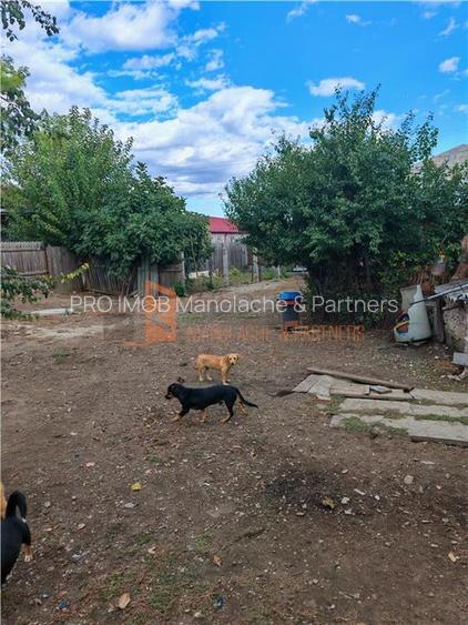 Exclusivitate! Casa tip parter + teren 880mp in Stancesti-Vadu Pasii - 15