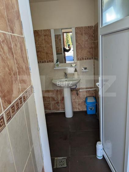 Teren 5.800 mp cu utilitati si constructii existente–Oportunitate de investitie! - 13