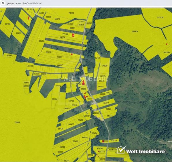 Teren autorizat pe Valea Garboului, Floresti limita Cluj, Intravilan-UL1, 707mp - 6