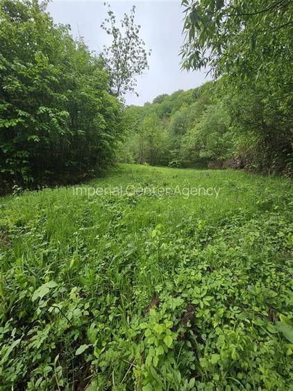 TEREN  PENTRU BUSSINESS 2842 MP DE VANZARE IN STATIUNEA  TARGU OCNA - 10