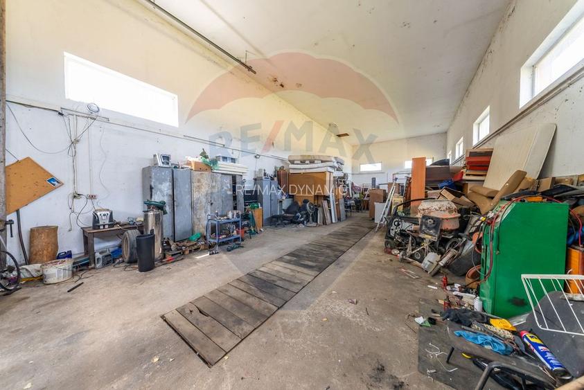Spațiu industrial cu potential de vanzare in Paulis,Arad - 8