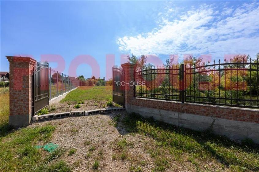 Persoana fizica - teren 1.000mp - Serbanesti - cu lac amenajat - 13