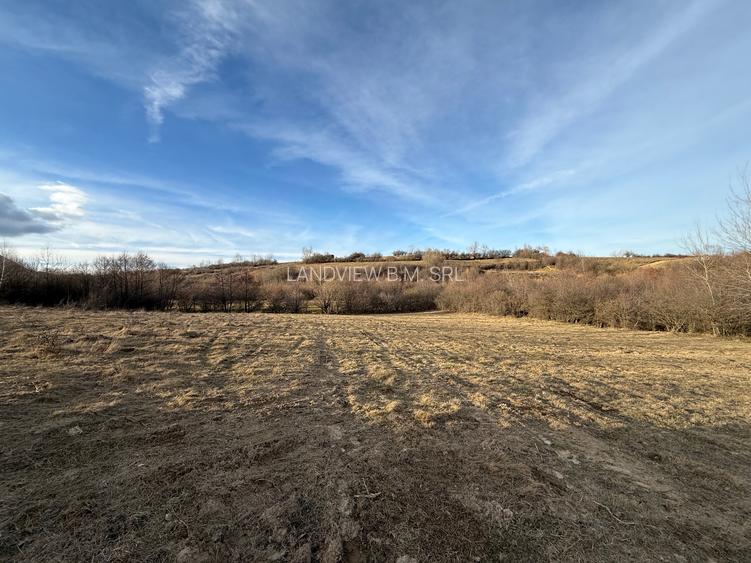 Teren intravilan 500 mp sau 1000 mp în Bran –Tohanita cu parau langa - 10