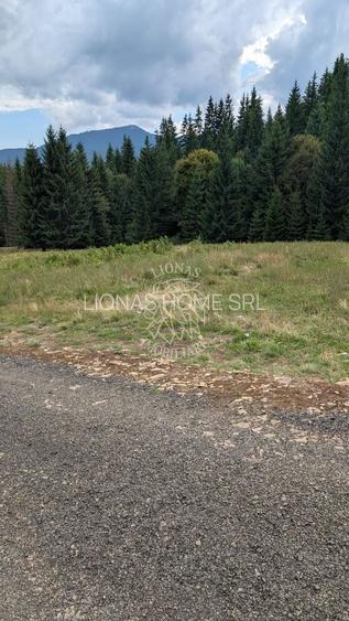 OFERTA! Teren intravilan 785 mp cu utilitati-ideal cabana-Colibita - 2