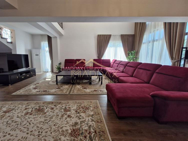 Vilă impresionantă *teren 1000mp // Erou Iancu Nicolae - 13