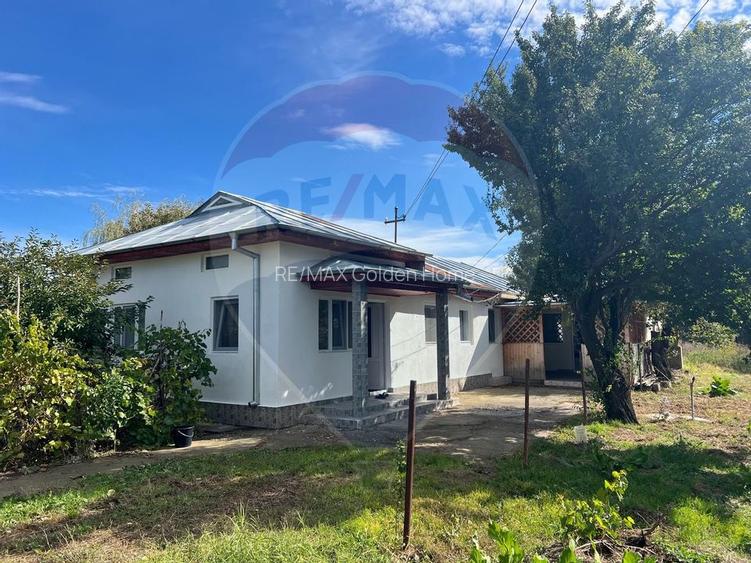 Casa 5 camere Bordeasca Veche - 16