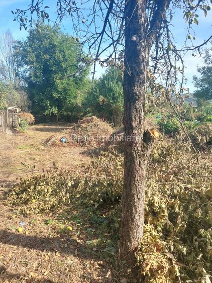 CASĂ DE VÂNZARE 2 CAMERE\ ZĂVOI\ JUD. CARAȘ-SEVERIN - 7