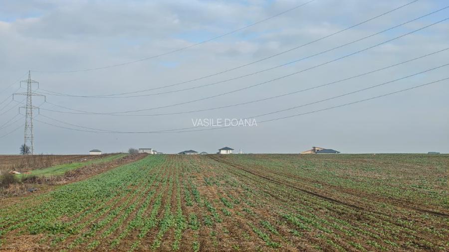 Teren construibil  extravilan , 37000 mp -com Vidra / iesire Berceni, Ilfov - 11