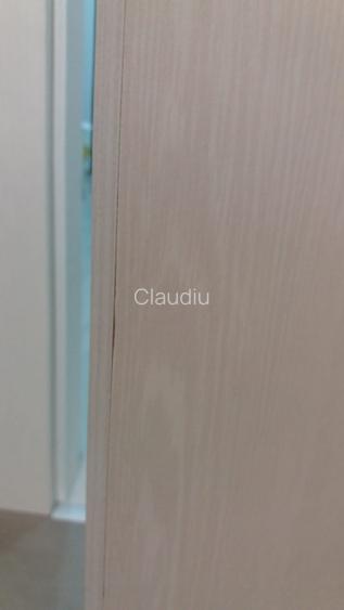 Inchiriez apartament renovat cu 2 camere decomandate - strada Paltinis - 11