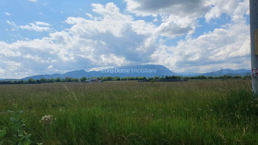 Rasnov -Glejarie 1000 mp front 42m posibilitate duplex sau 2 constructii - 9