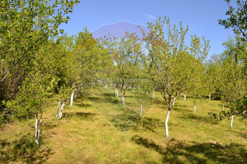 Casă / Vilă de vânzare Picior de Munte, Dambovita - 4
