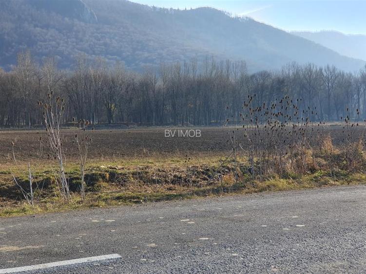 Vanzare Teren intravilan Str. Cucului, zona Bartolomeu 18600 mp - 6