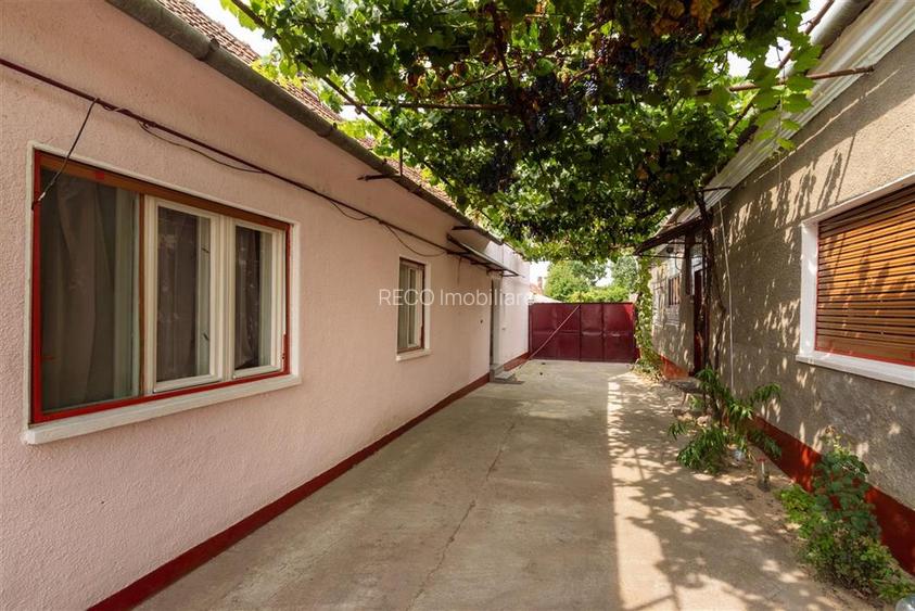 Teren mare cu 2 case si front la 2 strazi in Tamaseu - 39