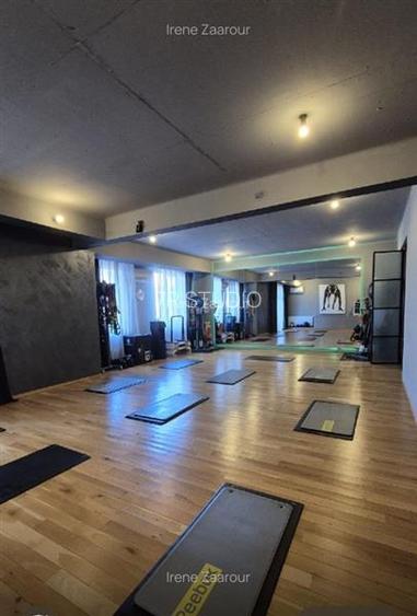 Inchiriere spatiu open space Eminescu - 14