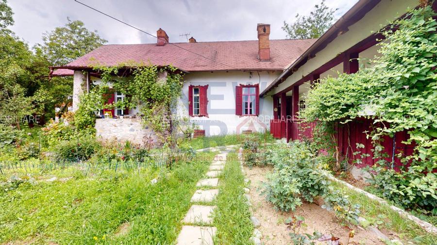 CONACUL GEORGE STEPHANESCU - 11