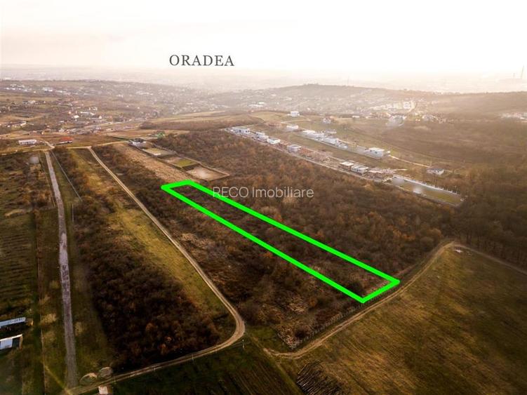 Reco Teren intravilan in Saldabagiu de munte 4333MP - 6