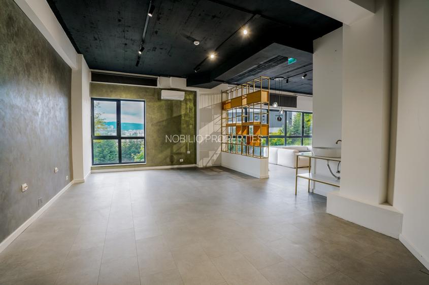 Spatiu comercial de vanzare, zona Taietura Turcului, cu preluare chiriasi - 12