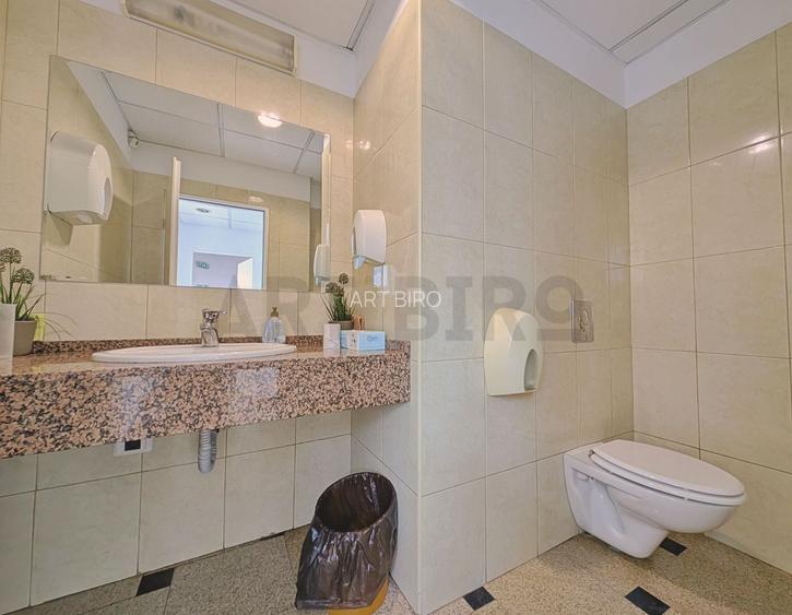 Zero comision, 260mp birouri cu depozitare, Victoriei, 7' metrou - 10