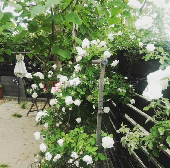 Apartament 2 camere parter curte proprie – Otopeni, zona Odăi (Str. Școlii) - 12