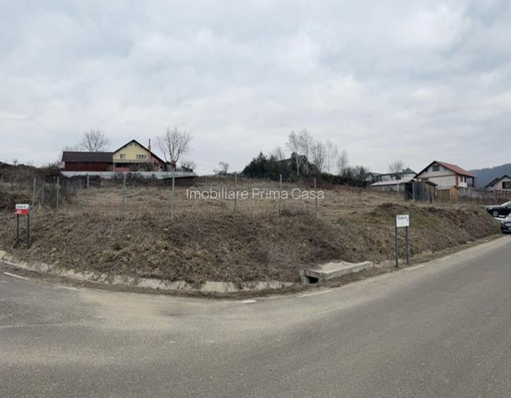 TAUTII MAGHERAUS - drumu Nistrului 16 ari teren intravilan pt case! - 4