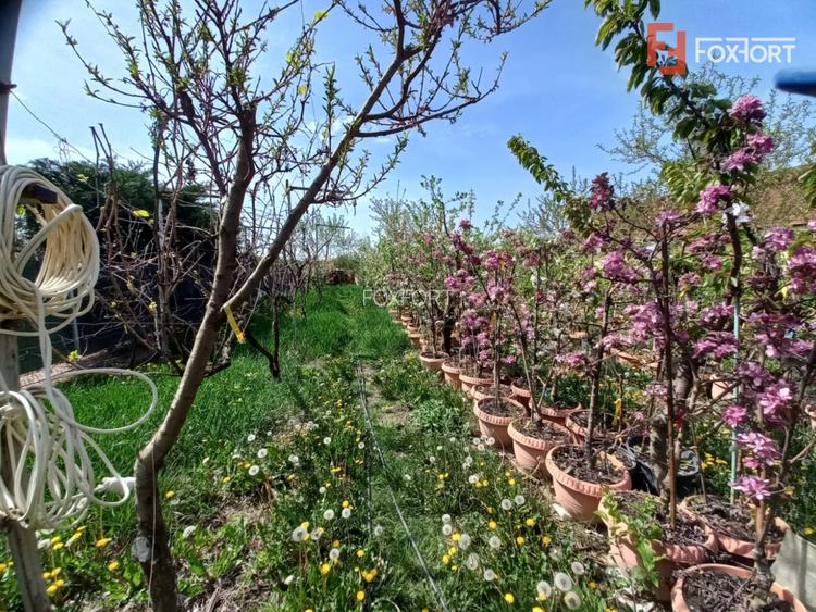 Casa individuala | 5 camere | Teren generos 805 mp | Giarmata Vii - 5