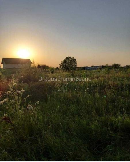 Vand Teren Intravilan Popesti Leordeni - Strada Rasaritului,Ideal pentru Casa - 4