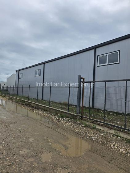 Hale noi 2026 AFUMATI ( Moara Domneasca ) 2300 Euro - 13