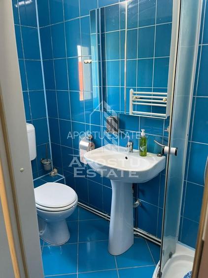 Apartament cu 1 camera de inchiriat, zona Aradului, Timisoara - 6