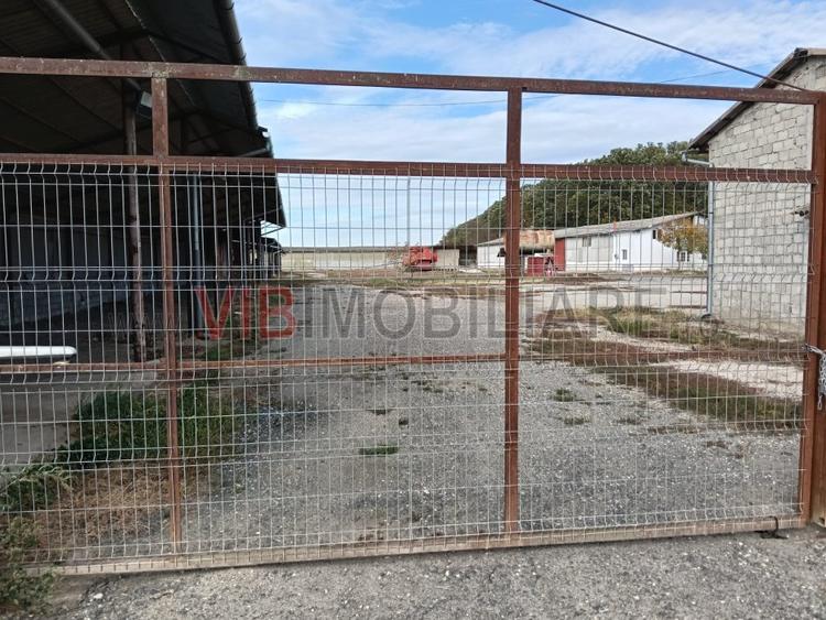 Ferma Agricolă 1.350 Hectare – Grad de Comasare 96–97%, Chișineu Criș, Județul A