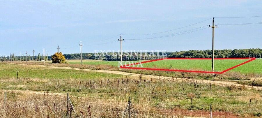 Teren 9Ha -> 16Ha Ha Intravilan , Exit A3 Snagov Ghermanesti Bucuresti-Ploiesti - 4