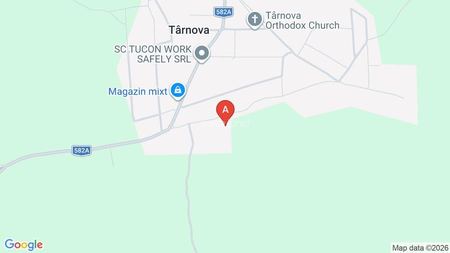 Vând Casă in Târnova strada principala  - 9