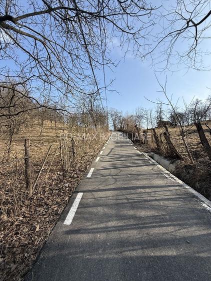 Teren intravilan 2788 mp deschidere 55 ml cu vedere panoramica ! - 16