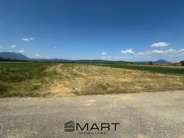 Teren 5000 mp Glajerie, zona Rasnov - 5