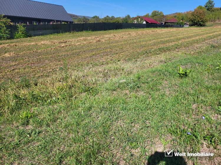 Teren de vanzare – Popesti Vale, 3600 mp - 2