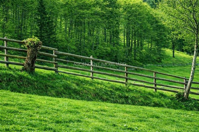 7.000 mp, pozitie spectaculoasa, fara vecini, Fundatica, Brasov - 3
