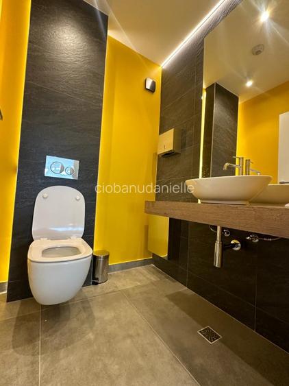 Cladire de vanzare – spatii diverse, 130 - 6000 mp / Zona in plina dezvoltare - 13