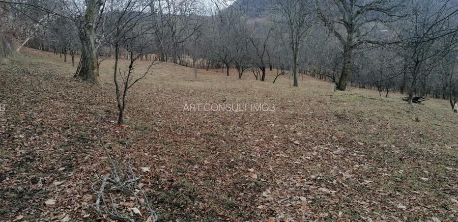 Teren | Comarnic | 2700mp | Intravilan - 4